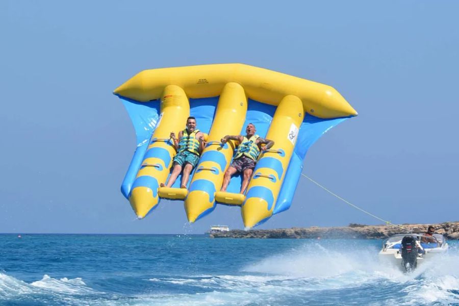 Flying Fish