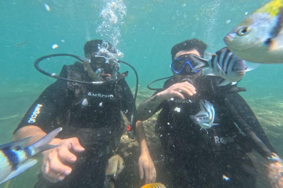 Scuba Diving